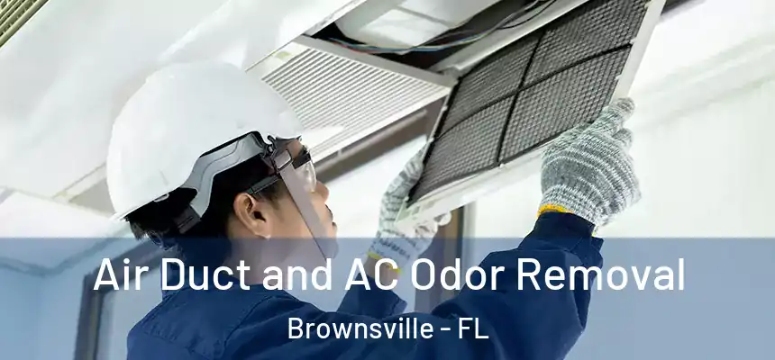 Air Duct and AC Odor Removal Brownsville - FL