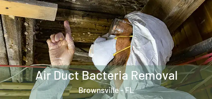 Air Duct Bacteria Removal Brownsville - FL
