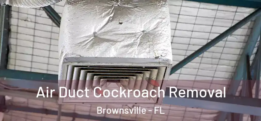 Air Duct Cockroach Removal Brownsville - FL
