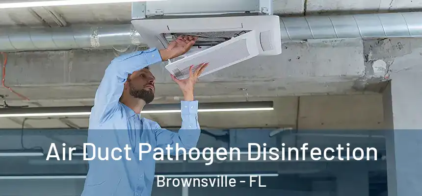 Air Duct Pathogen Disinfection Brownsville - FL