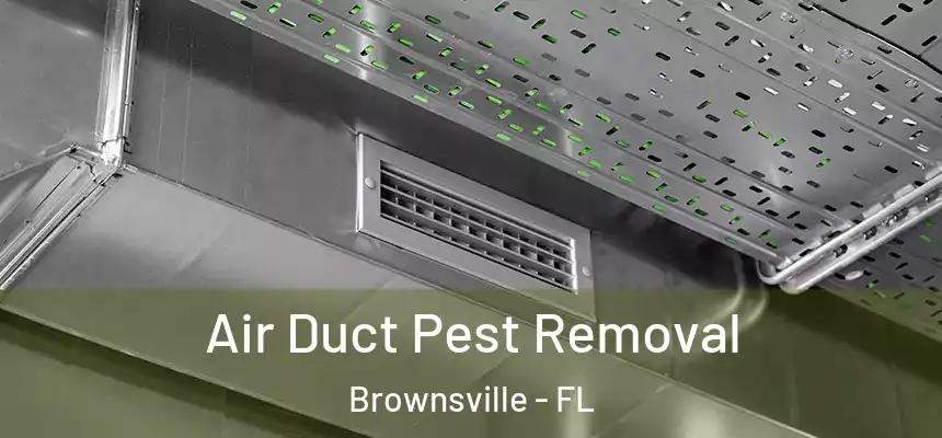 Air Duct Pest Removal Brownsville - FL