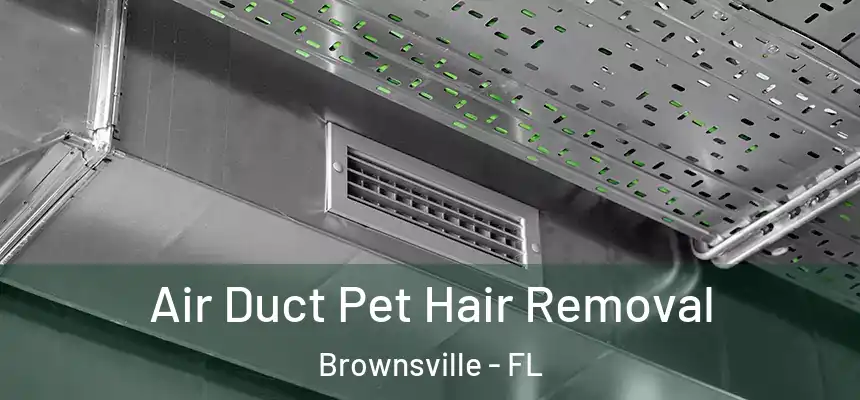Air Duct Pet Hair Removal Brownsville - FL