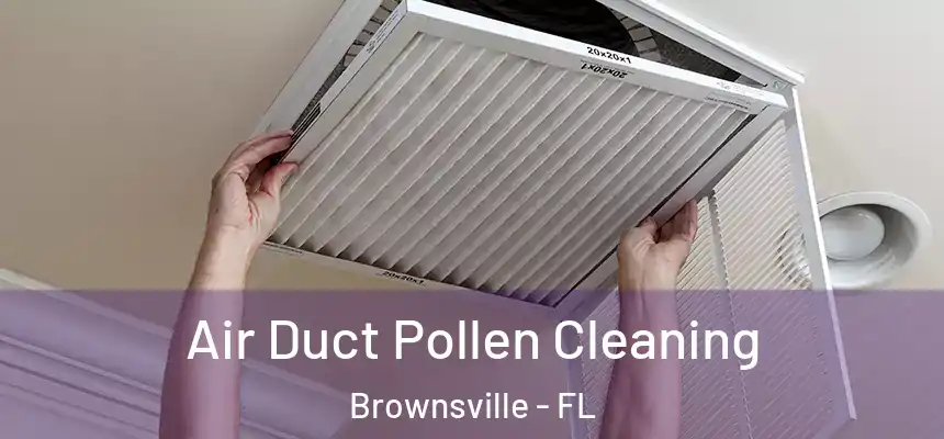 Air Duct Pollen Cleaning Brownsville - FL