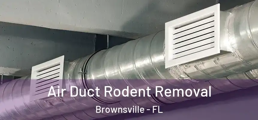 Air Duct Rodent Removal Brownsville - FL