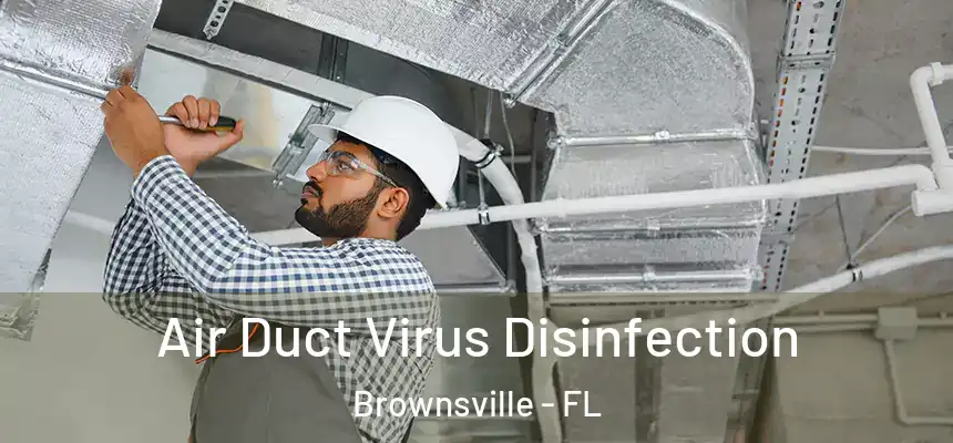 Air Duct Virus Disinfection Brownsville - FL