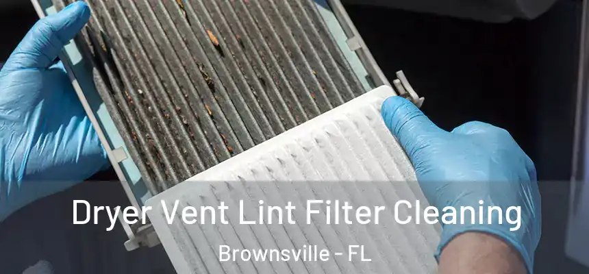 Dryer Vent Lint Filter Cleaning Brownsville - FL