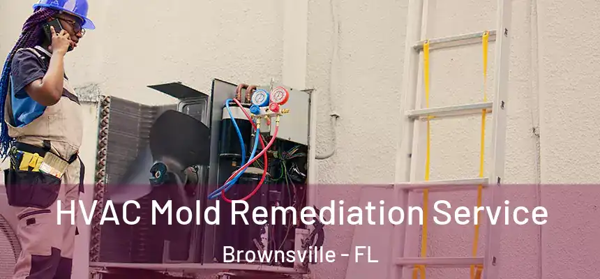 HVAC Mold Remediation Service Brownsville - FL