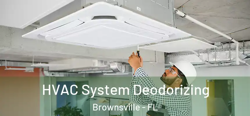 HVAC System Deodorizing Brownsville - FL