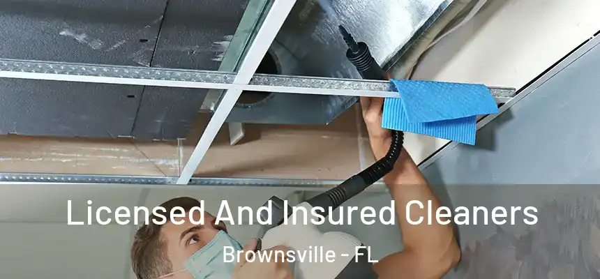Licensed And Insured Cleaners Brownsville - FL