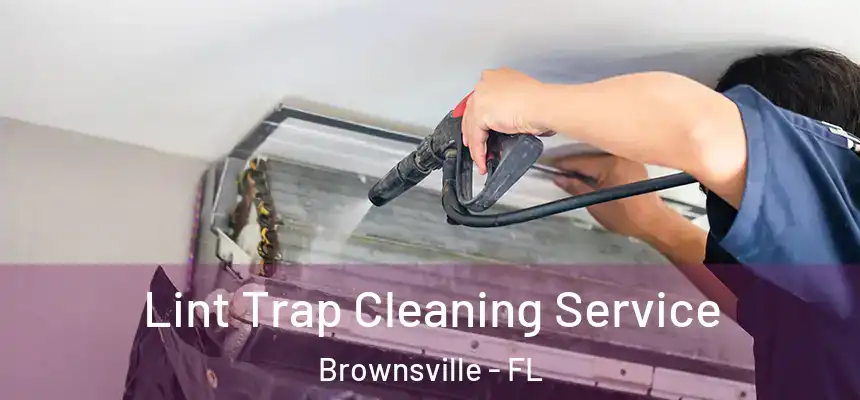 Lint Trap Cleaning Service Brownsville - FL