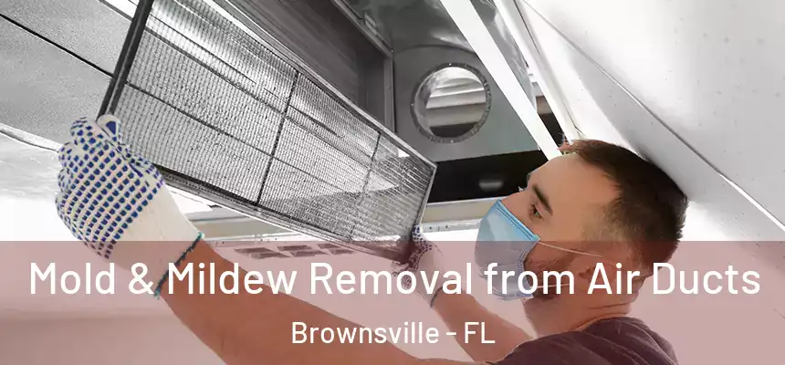 Mold & Mildew Removal from Air Ducts Brownsville - FL