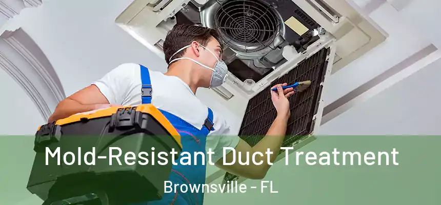 Mold-Resistant Duct Treatment Brownsville - FL