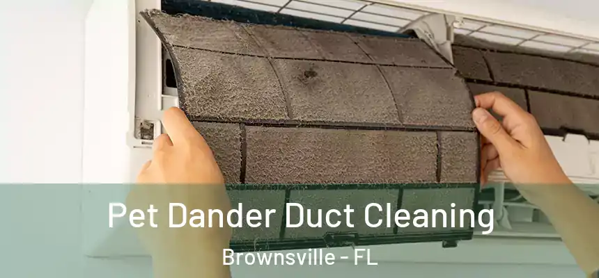 Pet Dander Duct Cleaning Brownsville - FL