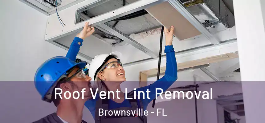 Roof Vent Lint Removal Brownsville - FL