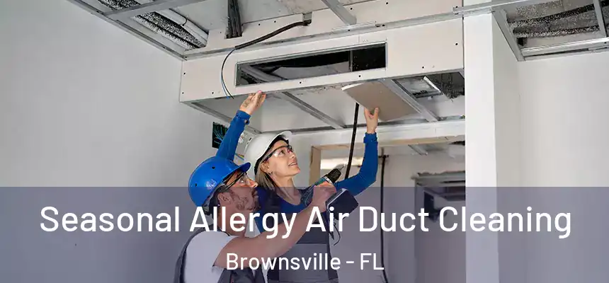 Seasonal Allergy Air Duct Cleaning Brownsville - FL