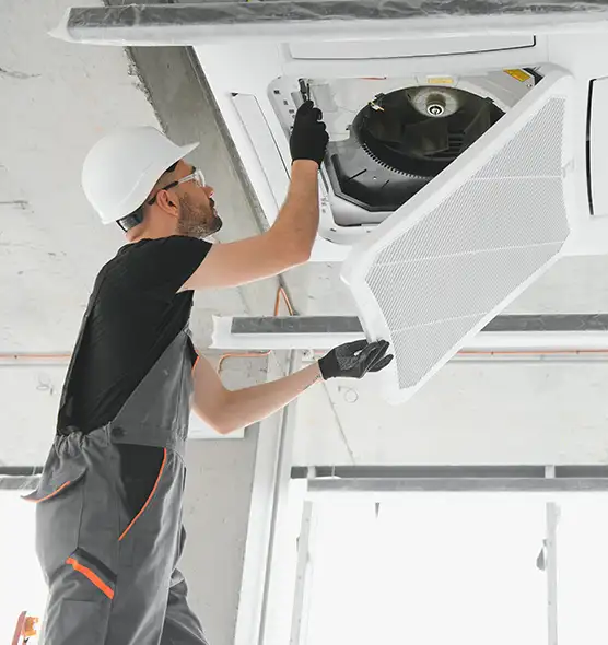 About Air Duct Rodent Removal in Brownsville, FL