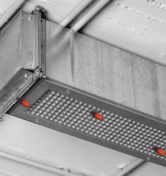 Affordable Insect Removal from Air Ducts in Brownsville, FL