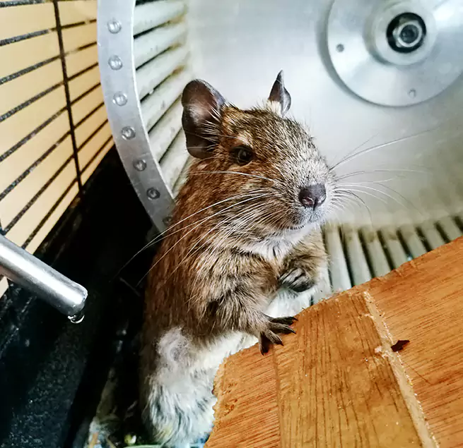 Why Homeowners & Businesses Trust Us Brownsville, FL?