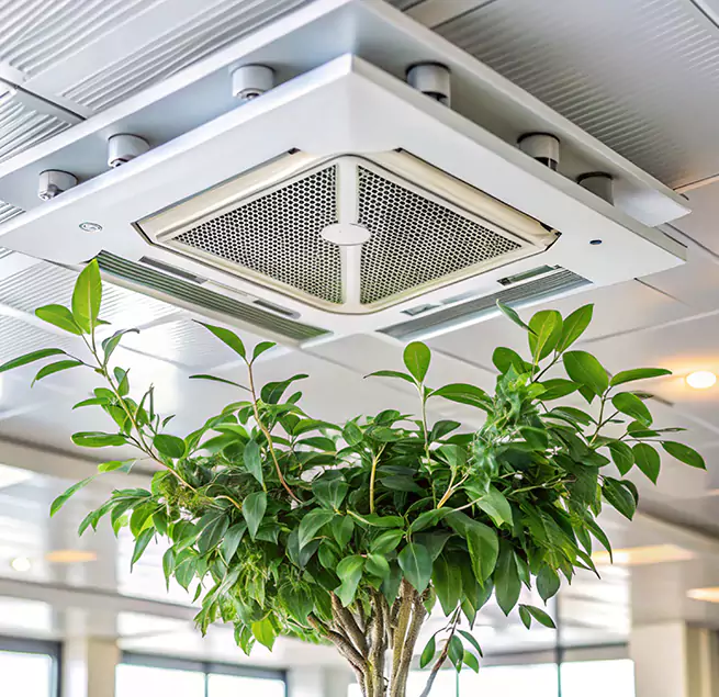 Why Homeowners & Businesses Trust Us in Brownsville, FL?