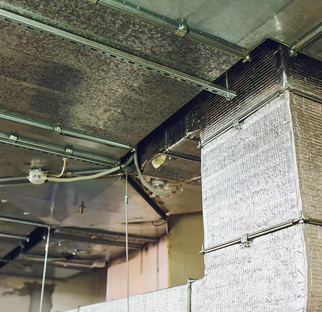 Why Homeowners & Businesses Trust Us in Brownsville, FL?