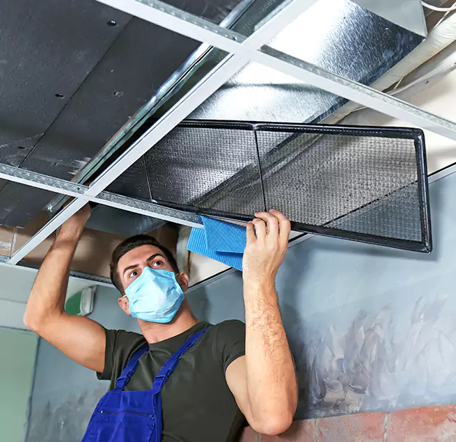 Why Homeowners Businesses Trust Us in Brownsville, FL?